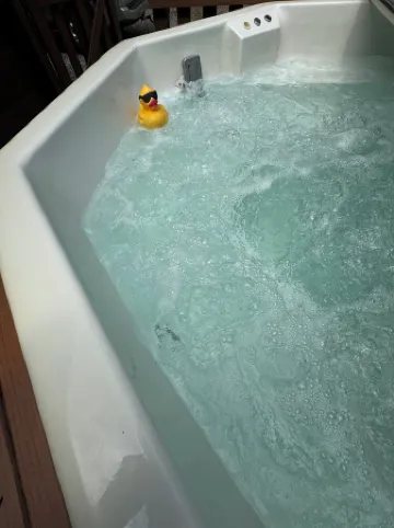 Luxury Log Cabin adjoins GSMNP . Magnificent Views , Nature Lovers Paradise !