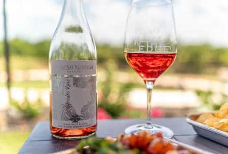 1800's Cactus Cabin/Hot Tub/Voted Most Romantic! Close to Downtown! Peaceful!