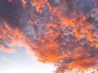 Beautiful, 3 Bedroom , 2Bath ,Heated Pool , Pool Table Hotels in Avondale