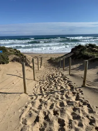 Salt Bush - Great views nestled  in the moonahs