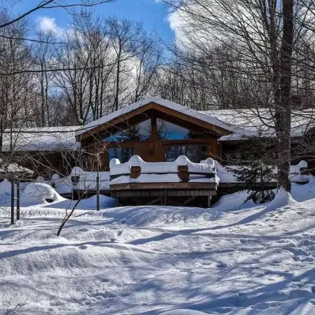 Luxury Cabin with Indoor Heated SaltWater Pool!