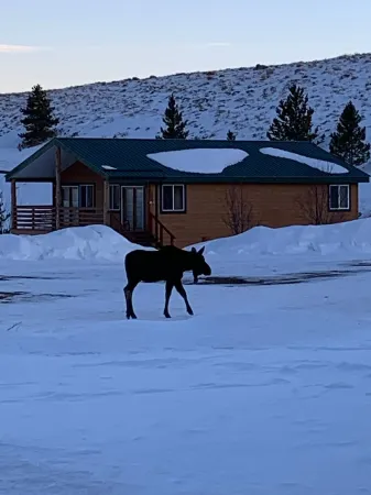 Mountain Cabin boasting several outdoor amenities for all seasons