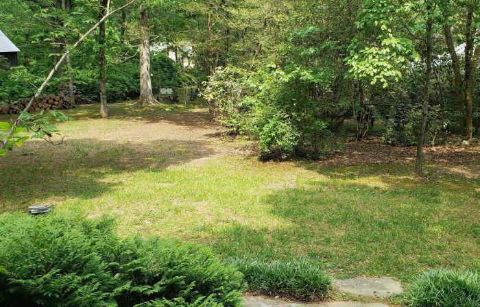 In Town, Yet Wooded - Cozy 2Br Cabin in Mentone