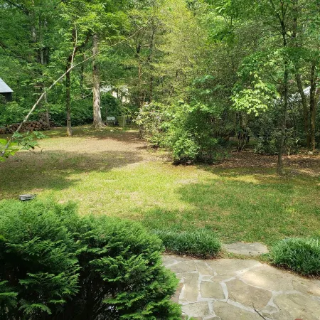 Mentone's favorite Cozy Cabin!  In the heart of Mentone:  In Town but Far Out