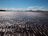 Cozy in Kenai Close to mouth of Kenai River and Beach access. Hotels in Kenai