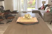 Rainbow Retreat - Ocean Front - Molokai - Peaceful Hotels in Ualapue