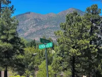 Tranquil Retreat In the Pines w/Mountain Views! Updated 1 Bed 1 Bath