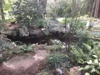 Charming High Point Historical Home only minutes from HPU and Furniture Market