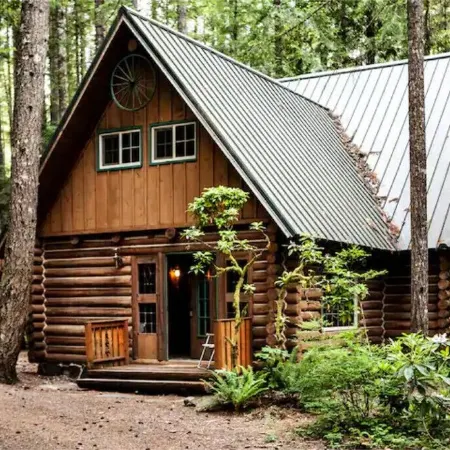 Camp Neary - epic hand built log cabin
