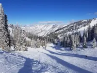 Ski at Snowbasin/Powder Mountain - 25th Street Historic Ogden
