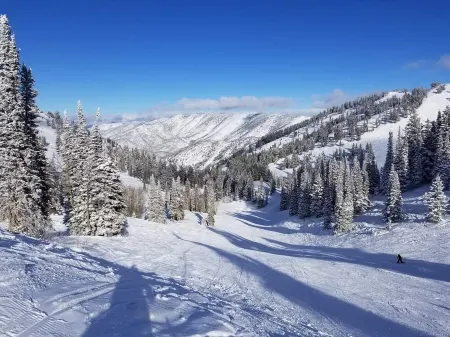 Ski at Snowbasin/Powder Mountain - 25th Street Historic Ogden