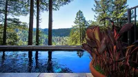 Italian Design ~ River Views ~ Pool + Hot Tub + 5 Fireplaces ~Tesla Charger