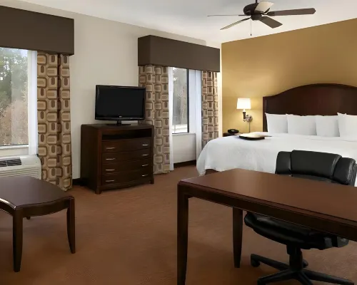Hampton Inn & Suites Conroe I-45 North Hotels in Conroe