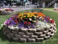 Cedar Inn & Suites Hotels in Zephyr Cove