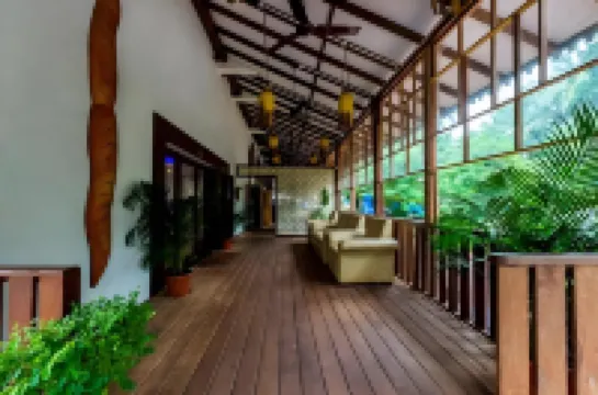 De Baga Deck Comforts