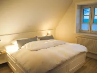 Backbord - 4-Star