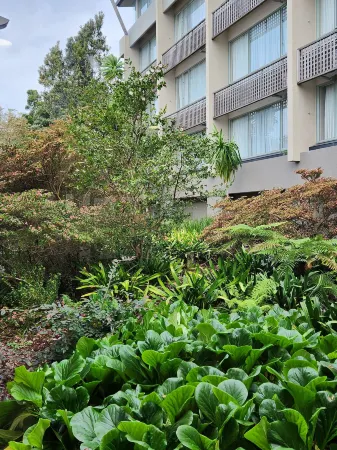 Waipuna Hotel & Conference Centre