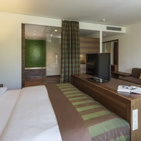 Asia Hotel & Spa Leoben Hotels in Leoben