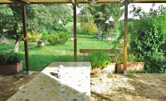 Agriturismo Terra Sabina