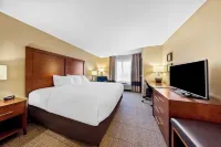 Comfort Inn & Suites West - Medical Center فنادق في روتشستر