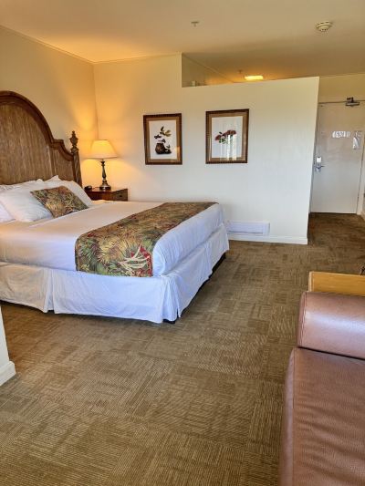 デラックスパークビュールーム(ご利用人数3名) ボルケーノ ハウスの写真