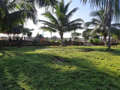 Rua Beach Resort Sumba Hotels in Wanokaka