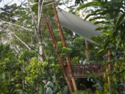 Rose Gums Wilderness Retreat Hotels in Malanda