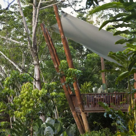 Rose Gums Wilderness Retreat Отели в г. Маланда