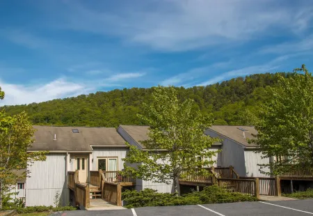 Massanutten Resort by TripForth Отели рядом с достопримечательностью «Массанаттен Индур Уотерпарк»