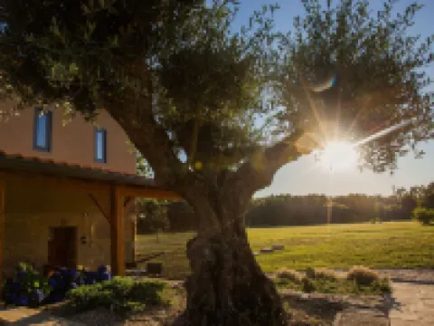 Quinta do Caminho, Al Hotels in Valenca