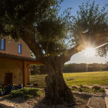 Quinta do Caminho, Al