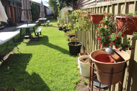 Pavlos Motel Отели рядом с достопримечательностью «Заказник Даттон Авеню»