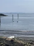 Curley's Resort & Dive Center