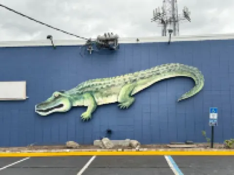 ミッドタウンロッジ ジャクソンビルのホテル