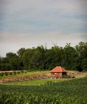 Tiny House Ambar - Wi-Fi