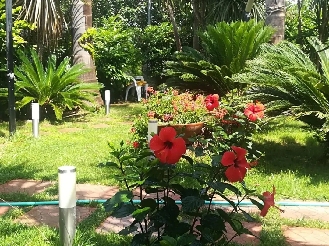 Beatrice Home - Castellammare di Stabia