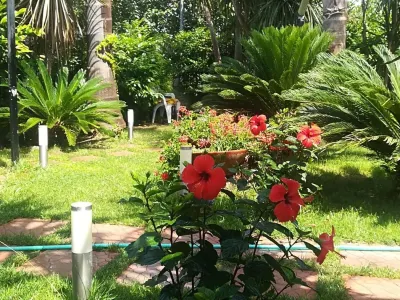 Beatrice Home