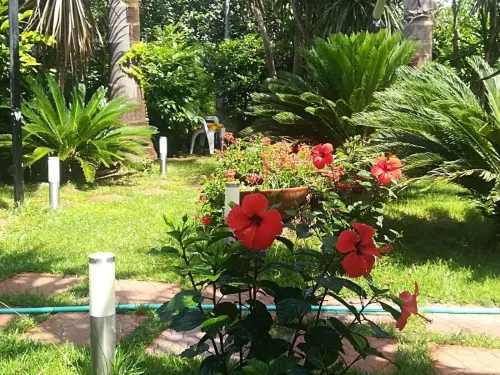 Beatrice Home Hotel a Sant'Antonio Abate