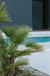 Boutique & Design Hotel Navis - Beach
