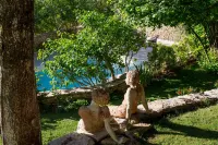 La Terre d'Or - Rooftop Pools