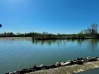Lake House Cottage w/ Breathtaking Views!