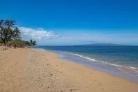Pool, Hot Tub, BBQ and Scenic Landscape - Elegant Ocean View Oasis Hotels in Hawaii-Maui