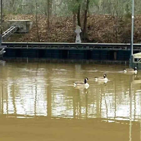 The Reel Time on the Flint River houseboat.
