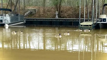 The Reel Time on the Flint River houseboat. Отели в г. Бейнбридж