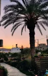 Kostas Apartments - Mountain view