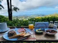 Hotel Flor de Bromelia - Ocean View