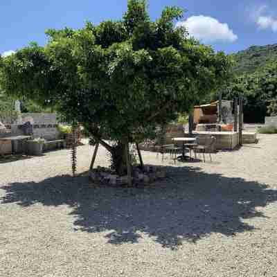 グランピングリゾート ヨーカブシ Hotel Exterior