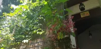 Knuckles View Bungalow - Pensions