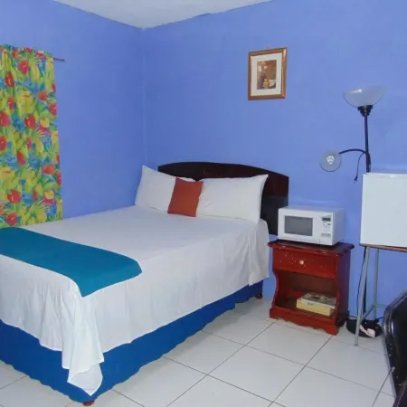 Tropical Manor Inn - Kingston