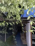 Casa Boutique Remolino - 別墅